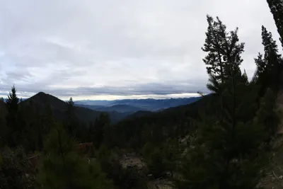 DSC_0086 (Large).JPG